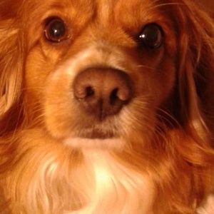 Meet your Posher, Lydia